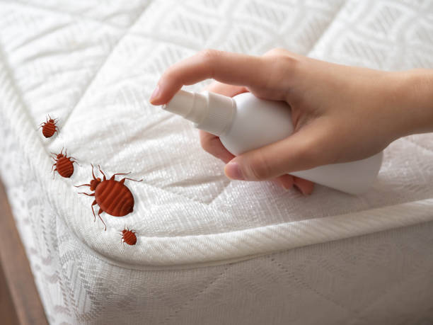 Emergency Pest Control in Crete, IL